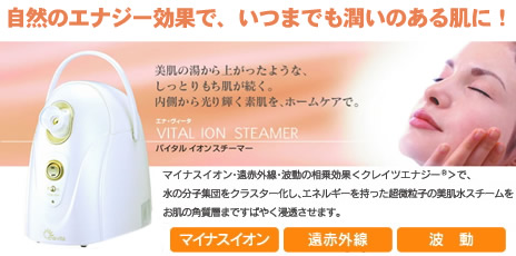 エナ・ヴィータ バイタルイオンスチーマー(トップ)
