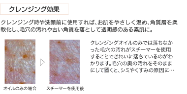 エナ・ヴィータ バイタルイオンスチーマー(クレンジング効果)