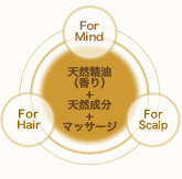 プルルリブール コンセプト