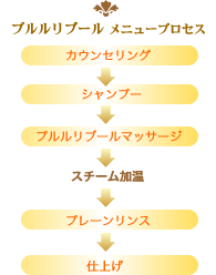 プルルリブール施術プロセス