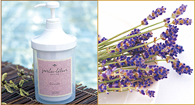 プルルリブール ラベンダー